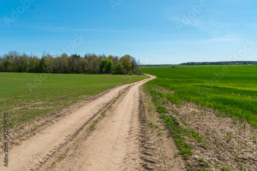 A dry sandy road passes through a field under the scorching sun and clouds. Dirt road outside the city in the village. Arid climate on earth. Climate change and its consequences.