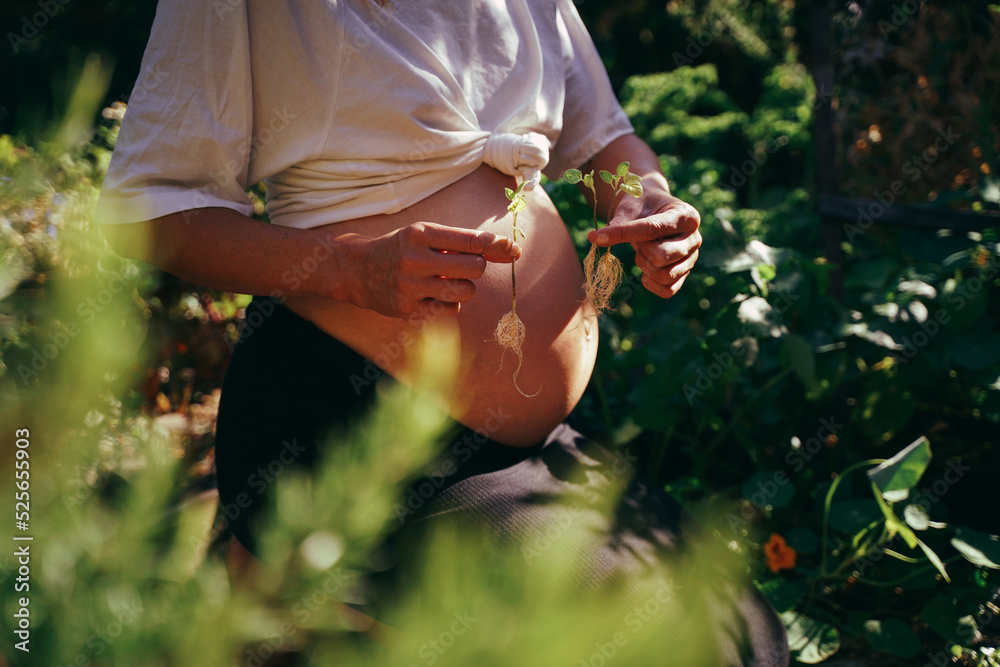 It's triplets! Pregnant woman in the garden with triplets in her belly