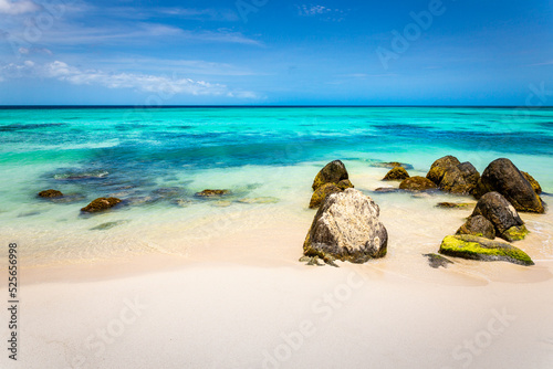 Fototapeta Naklejka Na Ścianę i Meble -  Idyllic and translucent caribbean beach at sunny day in Aruba
