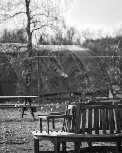 Tableau sur toile Vertical shot of a park with trees in a daylight