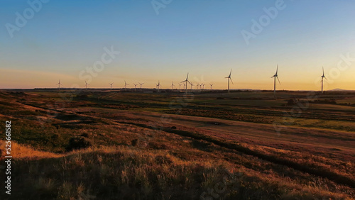 Wind turbines in County Wexford during sunset.