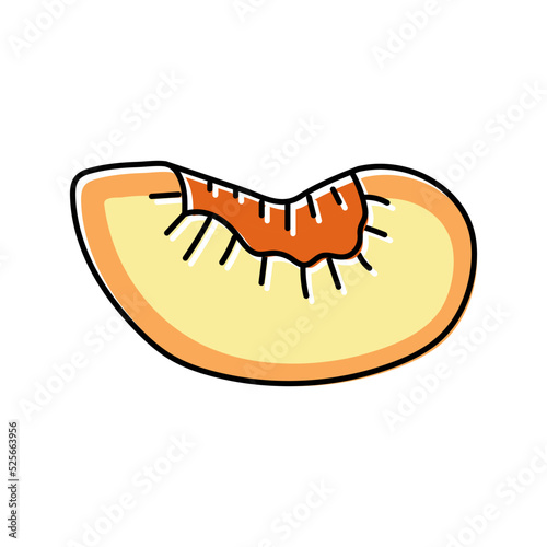 plum slice fruit color icon vector illustration