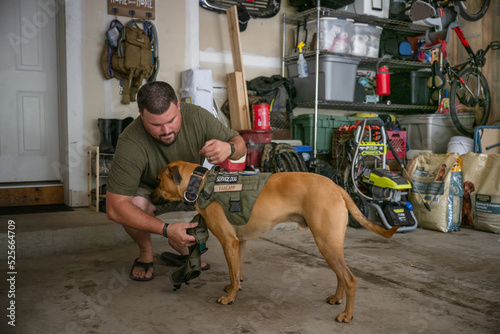 Marine veteran with service dog and family living life. photo