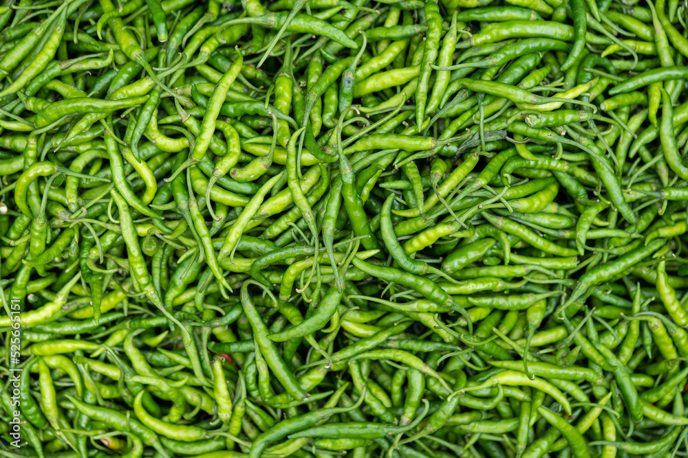Green chili background spices The spicy full flame
Green chili background spices The spicy full flame