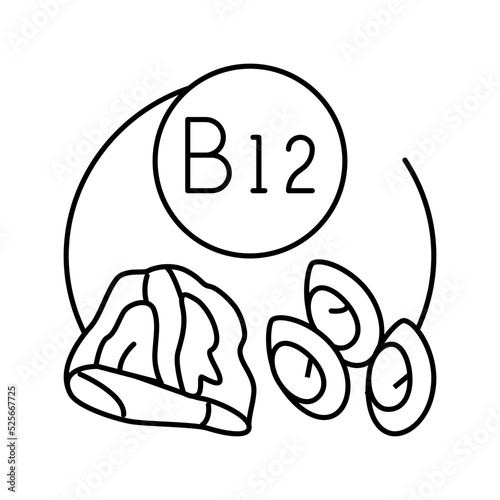 b12 vitamin line icon vector illustration