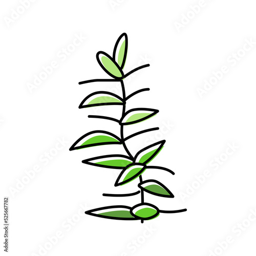 hydrophilia polyspermy color icon vector illustration