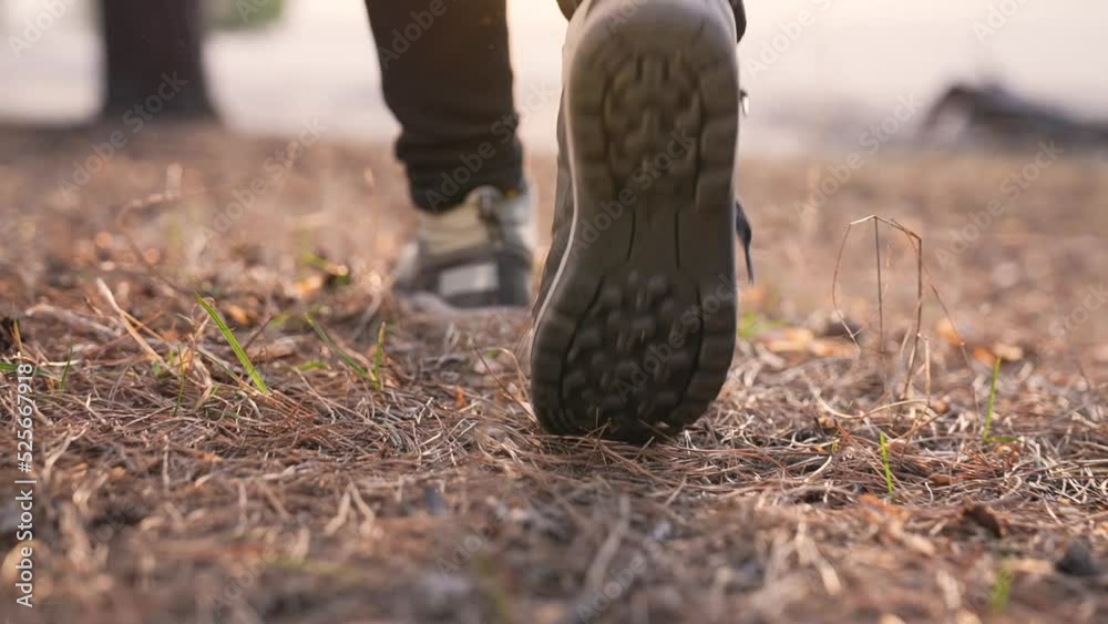 Stockvideo Hiking in the forest. Tourist shoes in the forest park ...