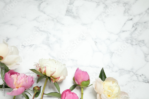 Beautiful peonies on white marble background, flat lay. Space for text