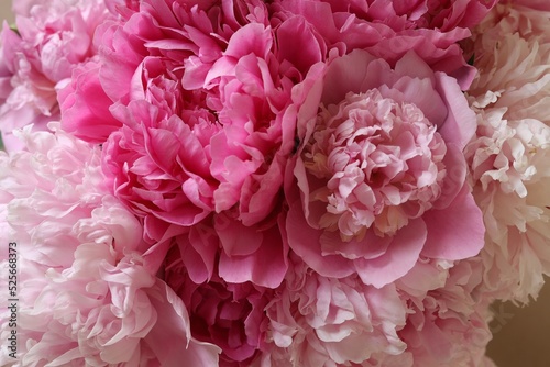 Closeup view of beautiful pink peony bouquet