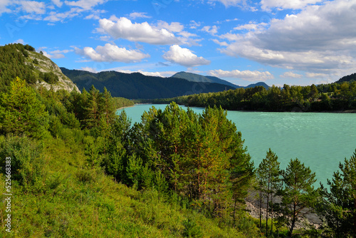 Beautiful sunny summer landscape on the rocky bank of fast turquoise mountain river Katun, hills and cliffs with dense forest covered. Sunny weather with bright blue sky