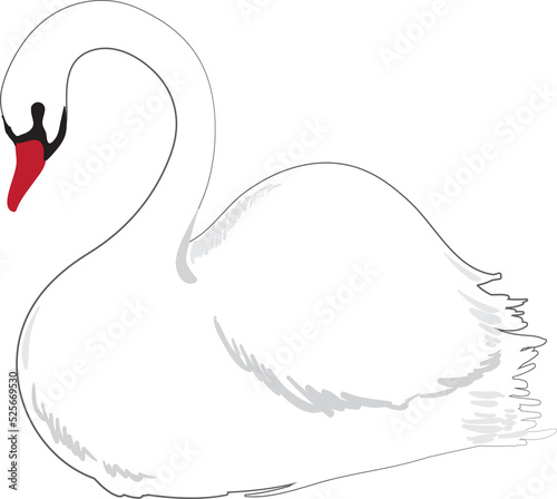 Fototapeta Naklejka Na Ścianę i Meble -  Illustration Hand drawn Bird element