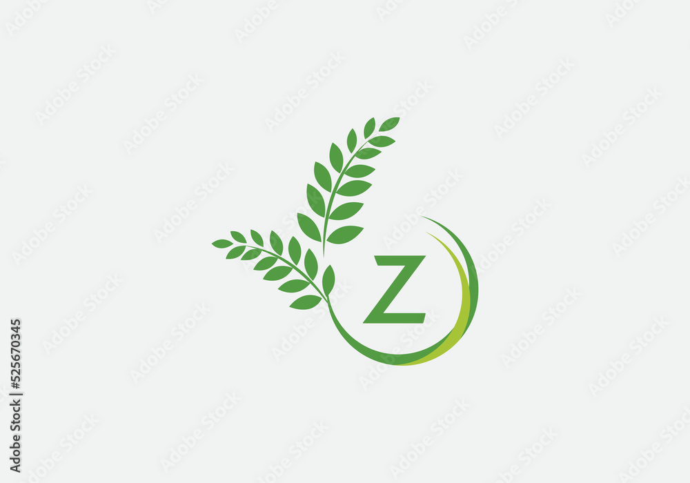 Green leaf and laurel wreath logo design vector with the letter and alphabet Z Green leaf and laurel wreath logo design vector with the letter and alphabet Z