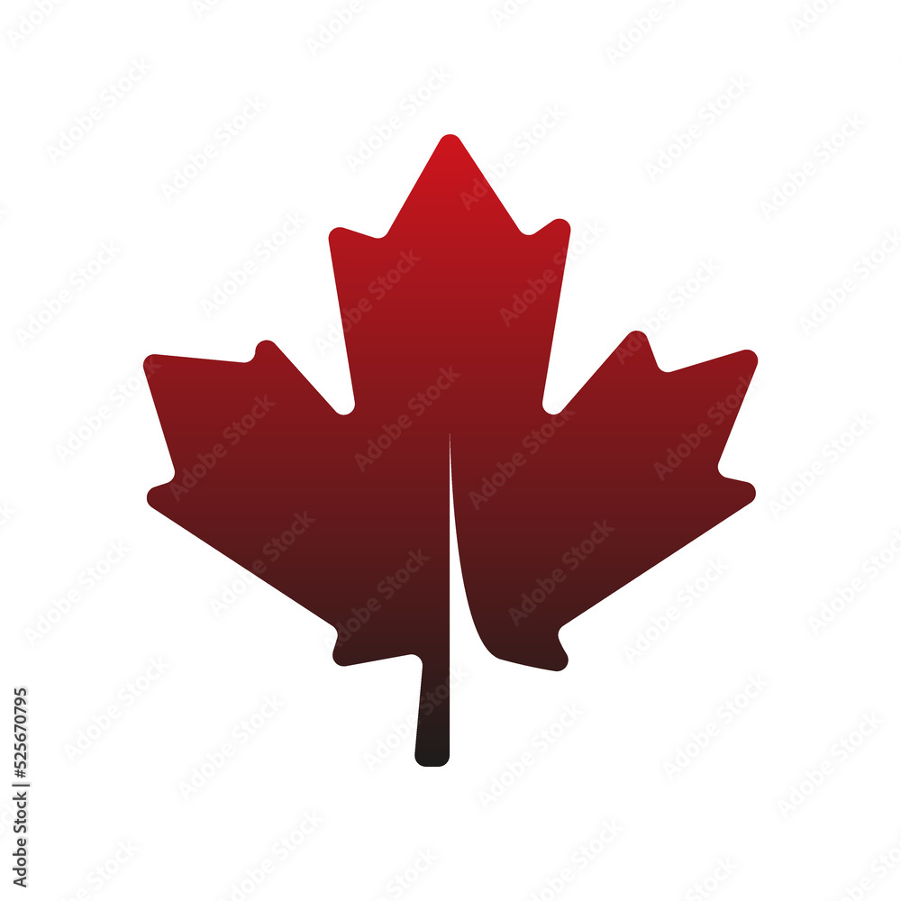 maple leaf icon on a white background, vector illustration maple leaf icon on a white background, vector illustration