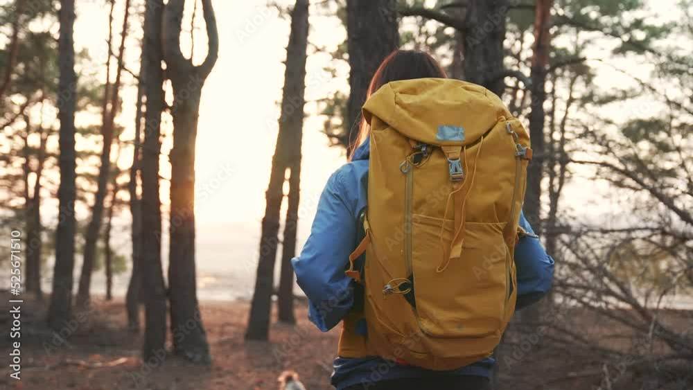 Girl travels through the natural park on foot. Hiking in woods. Girl tourist hike with backpack. Summer adventure, vacation freedom. Woman travels outdoors with a backpack. Hiking in the mountains Girl travels through the natural park on foot. Hiking in woods. Girl tourist hike with backpack. Summer adventure, vacation freedom. Woman travels outdoors with a backpack. Hiking in the mountains