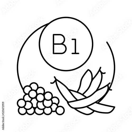 b1 vitamin line icon vector illustration