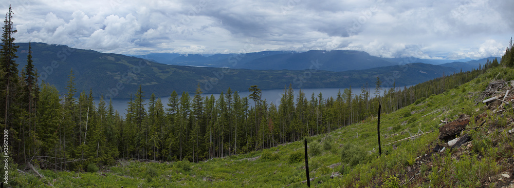 View of Shuswap Lake an Sicamous in British Columbia,Canada,North America
