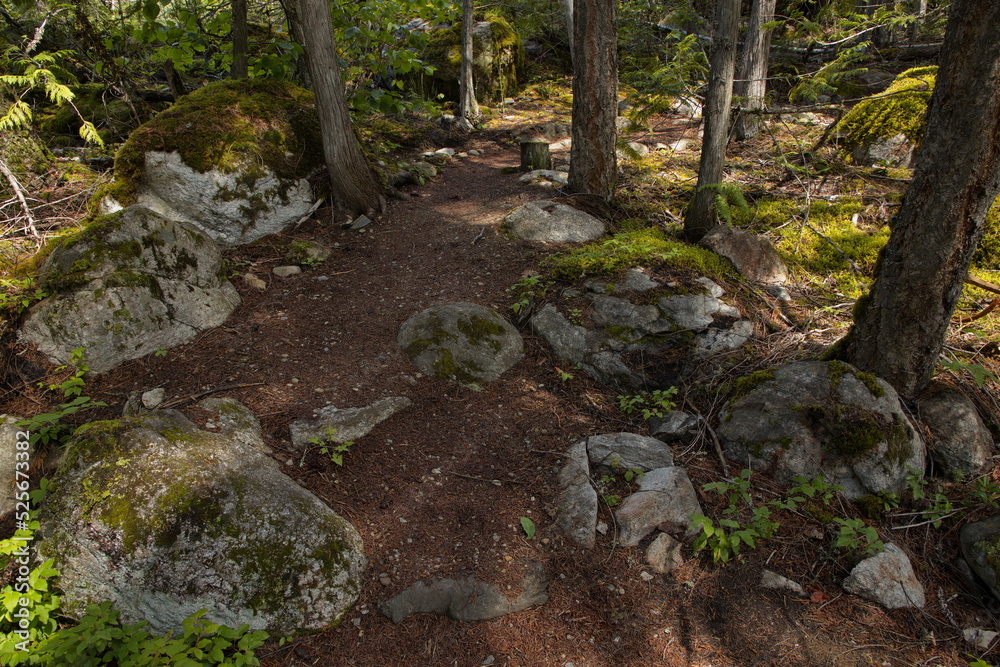 Hiking trail to Sicamous Creek Falls in British Columbia,Canada,North America
Hiking trail to Sicamous Creek Falls in British Columbia,Canada,North America