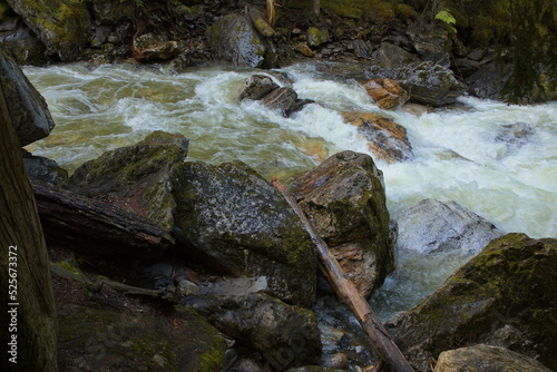 Sicamous Creek at Sicamous Creek Falls in British Columbia,Canada,North America
 photo