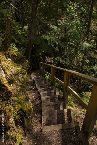 Hiking track to Sicamous Creek Falls in British Columbia Canada North America 