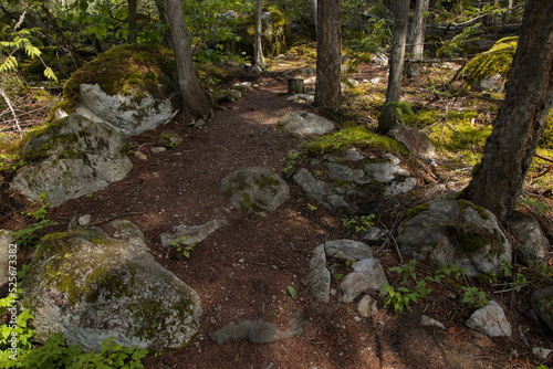 Hiking trail to Sicamous Creek Falls in British Columbia,Canada,North America 