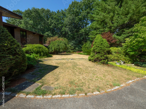 Dry front lawn due to drought