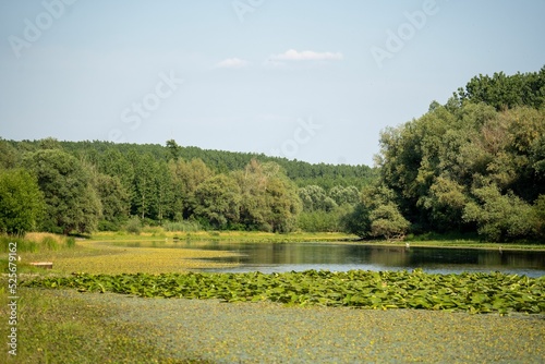 Special nature reserve in Kovilj, Serbia photo