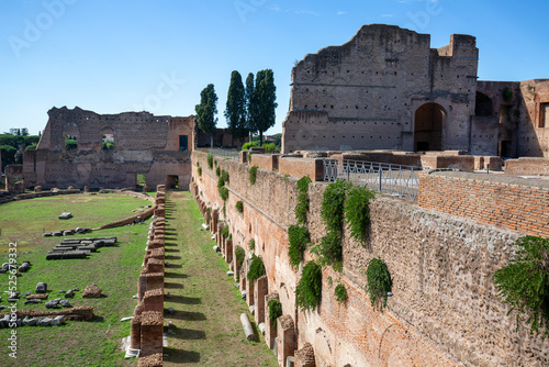 Canvas Print Palatine Hill, view of the ruins of several important ancient  buildings, Hippod