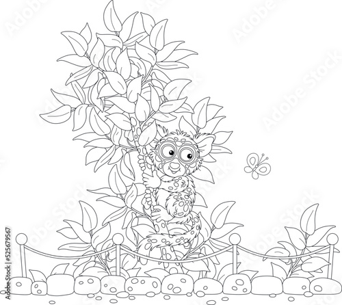 Funny exotic Philippine tarsier on a small tropical tree in an open-air cage of a zoological garden, black and white vector cartoon illustration for a coloring book page