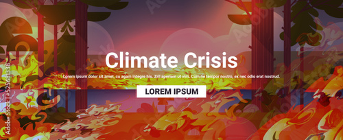 dangerous wildfire bush fire development dry woods burning trees global warming natural disaster climate crisis