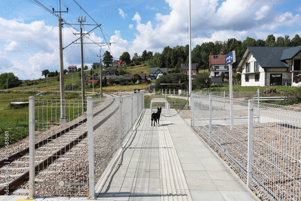 RABKA-ZDROJ, POLAND - JULY 09, 2022: A train platform in the vicinity of Rabka Zdroj.