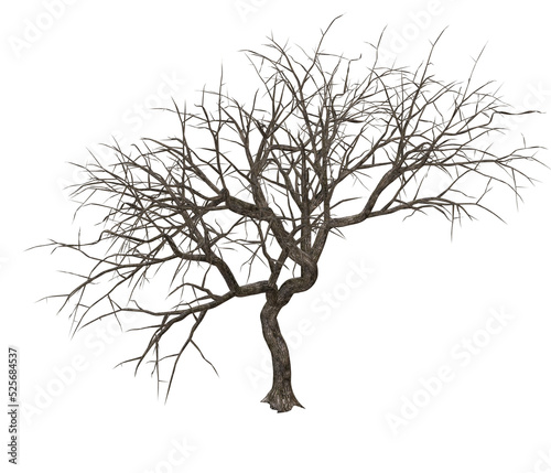 3D render of a gnarly tree no leaves illustration