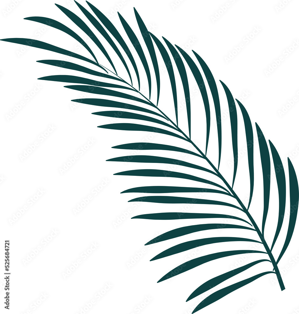 Obraz premium Hand drawn Troical leaves illustrations element PNG file