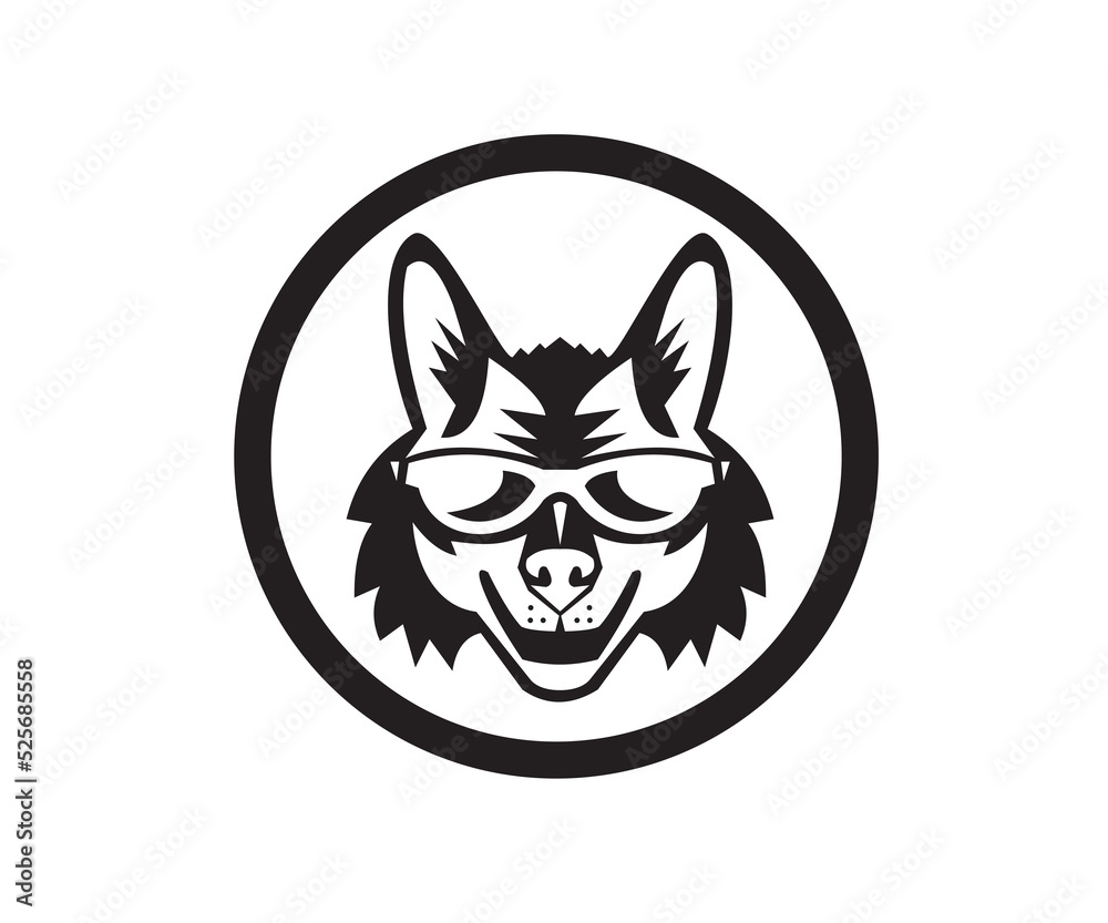 Coyote Sunglasses Circle Retro