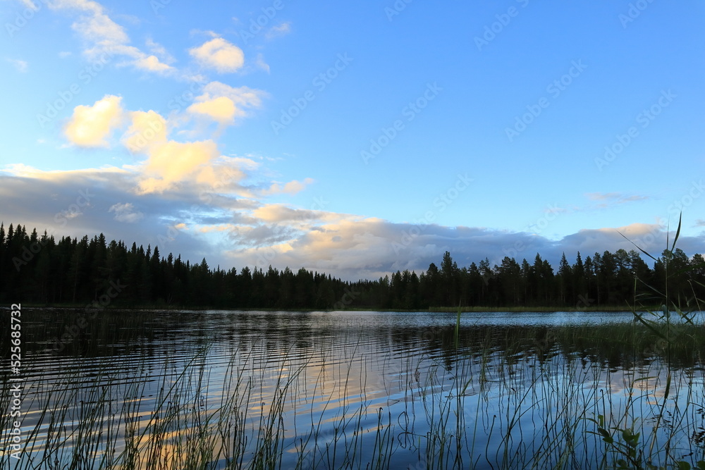 Summer lake with plenty of reed. Cloudy sky one evening. Reflection in the water. Forest in the distance far away. Krokom, Jämtland, Sweden, Europe.