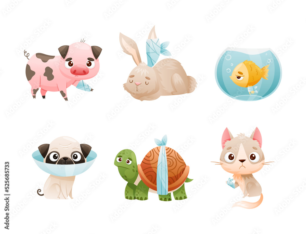 Obraz premium Set of sad sick animals. Unhappy pig, rabbit, fish, dog, turtle, kitten, puppy, wounded or after surgery pet animals cartoon vector illustration