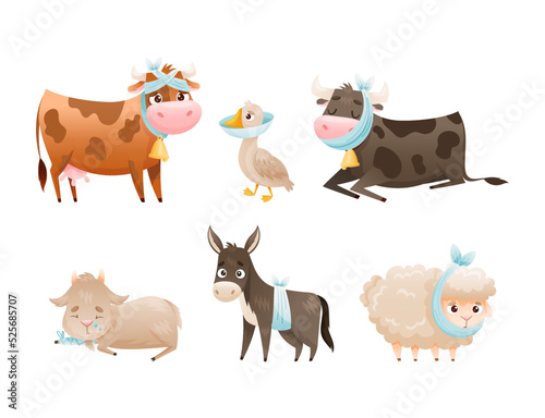 Fototapeta Naklejka Na Ścianę i Meble -  Set of sad sick animals. Unhappy cow, goose, sheep, donkey, goat wounded or after surgery farm animals cartoon vector illustration