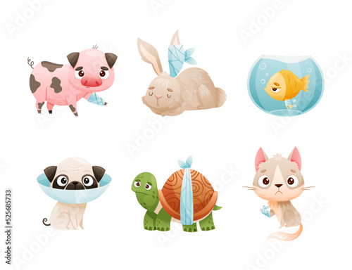 Set of sad sick animals. Unhappy pig, rabbit, fish, dog, turtle, kitten, puppy, wounded or after surgery pet animals cartoon vector illustration