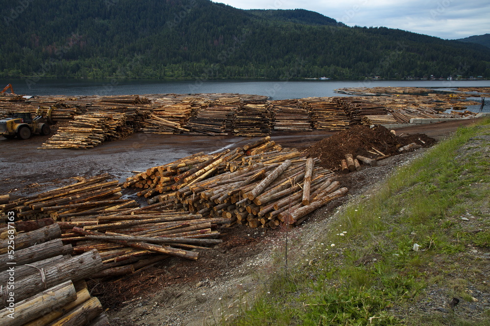 Lumberyard at Adams Lake in British Columbia,Canada,North America
Lumberyard at Adams Lake in British Columbia,Canada,North America