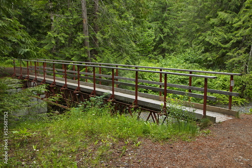 Footbridge on Flume Trail in Tsutswecw Roderick Haig Brown Provincial Park in British Columbia,Canada,North America 