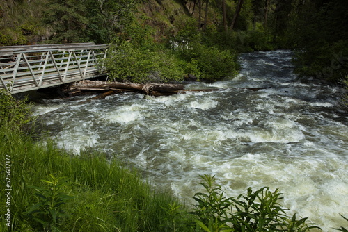 Footbridge in Centennnial Park in 100 Mile House in British Columbia,Canada,North America
 photo