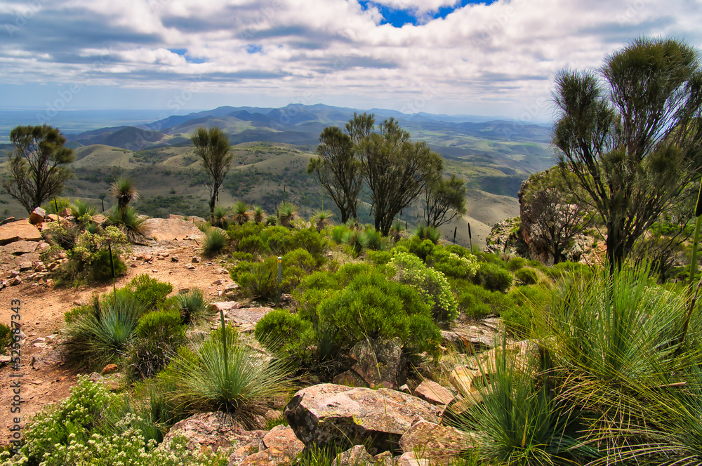 View to the north over the Flinders Range from Dutchman’s Stern, near Quorn, South Australia. Rocky surface, casuarinas and low bushes in the foreground
View to the north over the Flinders Range from Dutchman’s Stern, near Quorn, South Australia. Rocky surface, casuarinas and low bushes in the foreground