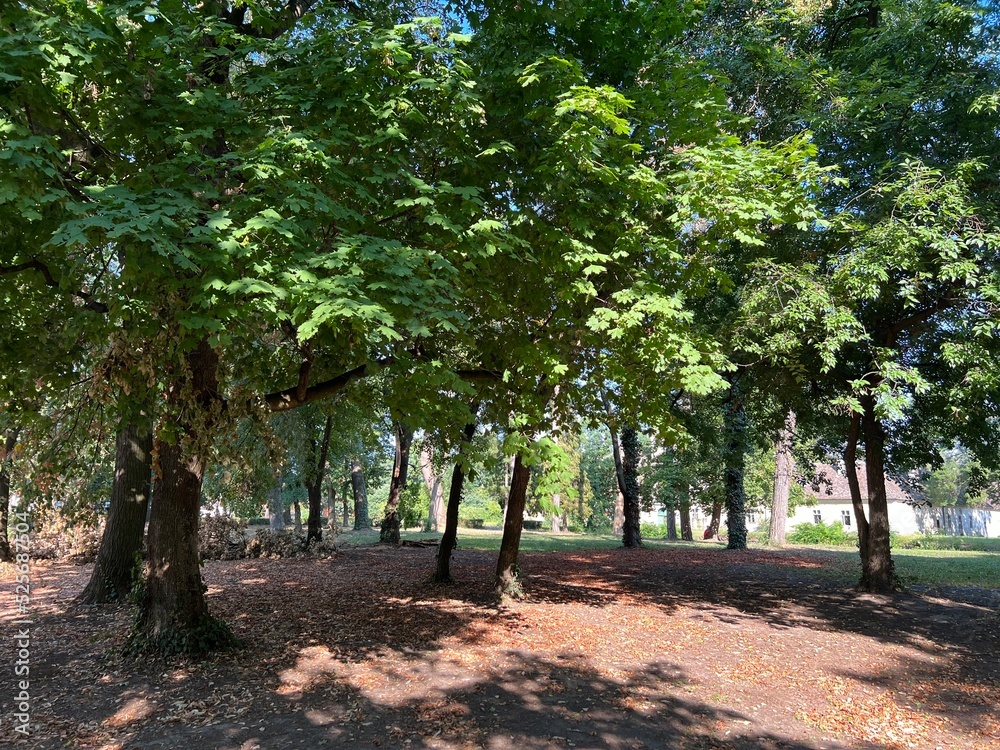 The park of the Hunting Castle in Bilje or the Park next to the castle of Eugene of Savoy, Bilje - Slavonia, Croatia (Park uz dvorac Eugena Savojskog - Slavonija, Hrvatska) The park of the Hunting Castle in Bilje or the Park next to the castle of Eugene of Savoy, Bilje - Slavonia, Croatia (Park uz dvorac Eugena Savojskog - Slavonija, Hrvatska)