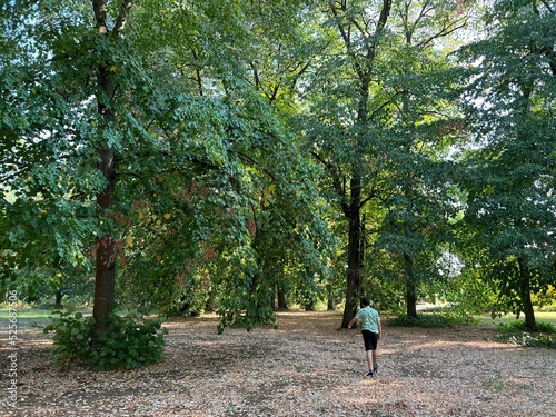 The park of the Hunting Castle in Bilje or the Park next to the castle of Eugene of Savoy, Bilje - Slavonia, Croatia (Park uz dvorac Eugena Savojskog - Slavonija, Hrvatska) photo