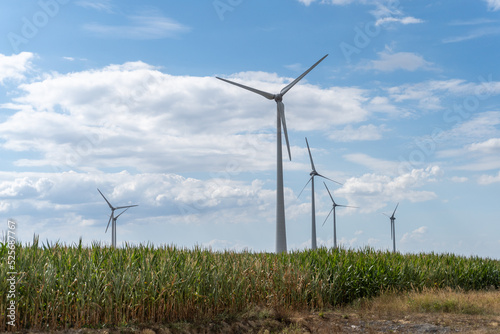 wind turbine in a wheat field