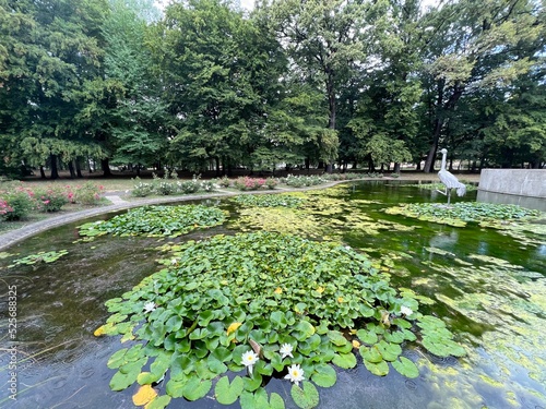 Spa garden Julijes park - Daruvar, Croatia (Lječilišni perivoj Julijev park - Daruvar, Hrvatska) photo