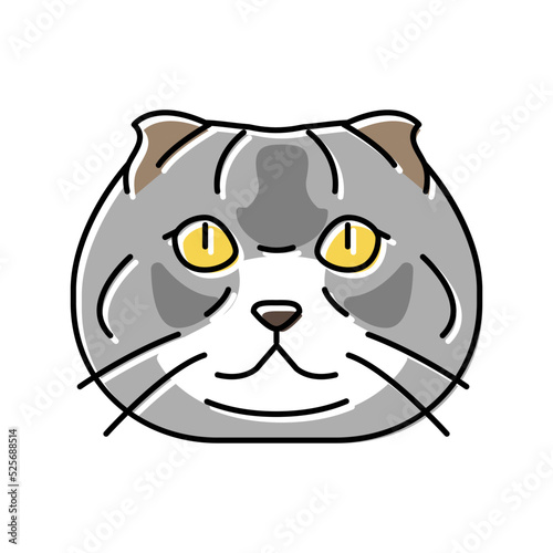 scottish fold cat cute pet color icon vector illustration