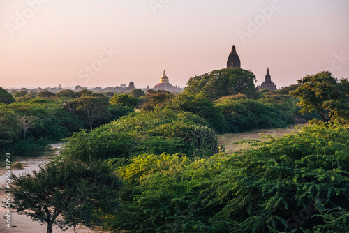 Stupas au milieu d une v  g  tation luxuriante  Bagan  Myanmar.