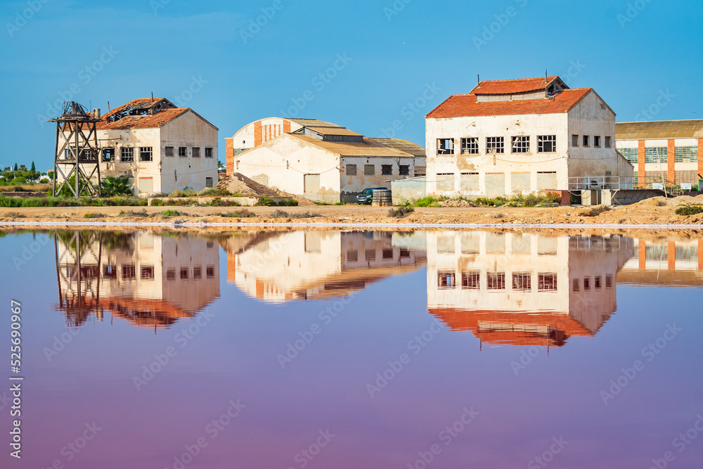Obraz premium Cityscape of the Pink Lagoon of Torrevieja and its Salt Mines (Alicante, Spain)