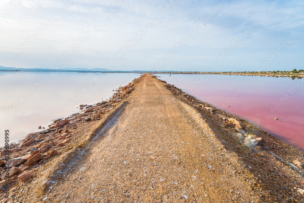 Cityscape of the Pink Lagoon of Torrevieja and its Salt Mines (Alicante, Spain)