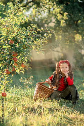 girl with a basket of red apples is sitting  in the garden 